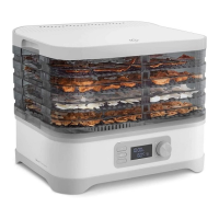 Preview: Springlane Dora