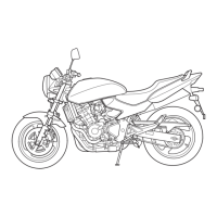 Preview: Honda CB600F 2004