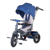 Preview: Coccolle corso