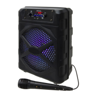 Preview: Memorex ILIVE