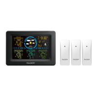 Preview: Raddy WF-60C