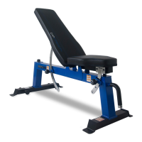 Preview: Cap Strength FM-CS804DX