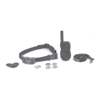 Preview: SportDOG YardTrainer 105