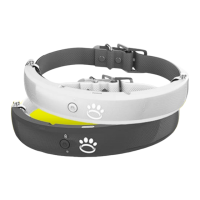 Preview: PAWS Halo Collar