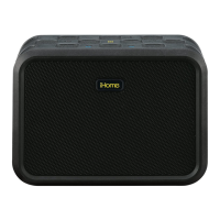 Preview: iHome iBN6