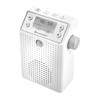 Preview: SOUNDMASTER DAB60 WE