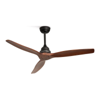 Preview: Create Wind Wood