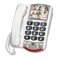 Preview: Ameriphone P-300