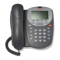Preview: Avaya 5410