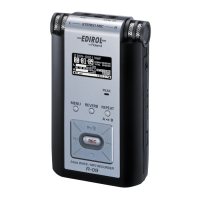 Preview: Edirol R-09