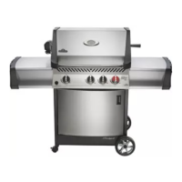 Preview: Napoleon 308