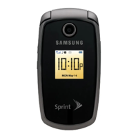 Preview: Samsung M300