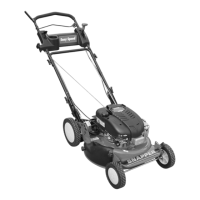 Preview: Snapper SERIES 19