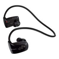 Preview: Sony NWZ-W262