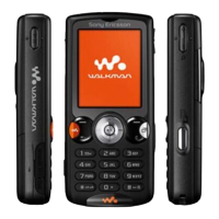 Preview: Sony Ericsson W810i