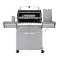 Preview: Summit WEBER S-470