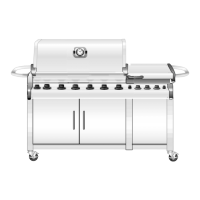 Preview: Weber Gas Burner