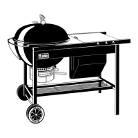 Preview: Weber Grill