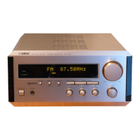 Preview: Yamaha RL RX-E100