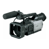 Preview: Panasonic AG-DVX100