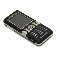 Preview: Sony Ericsson Cyber Shot K550i