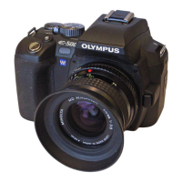 Preview: Olympus EVOLT E-500 Digital SLR