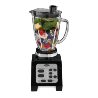 Preview: Oster BRLY07