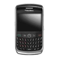 Preview: Blackberry 8900