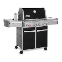 Preview: Weber E-470