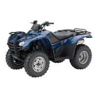 Preview: Honda TRX420TM