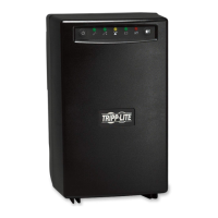 Preview: Tripp Lite SmartPro