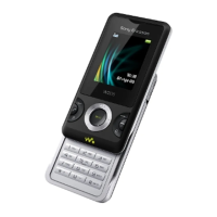 Preview: Sony Ericsson W205