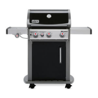 Preview: Weber 320