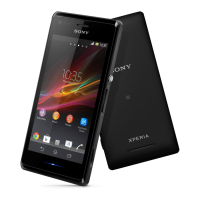 Preview: Sony Xperia M C2004