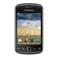 Preview: Blackberry 9380