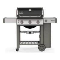 Preview: Weber E-210