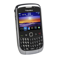 Preview: Blackberry 9300