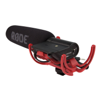 Preview: RODE Microphones Stereo VideoMic