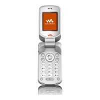 Preview: Sony Ericsson W300i