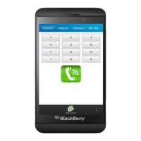 Preview: Blackberry 10