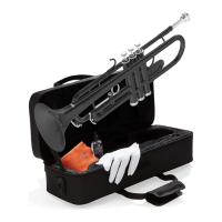 Preview: Cecilio trumpet