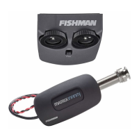 Preview: Fishman MATRIX VT