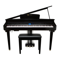 Preview: Williams SYMPHONY GRAND