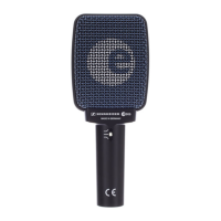 Preview: Sennheiser e906