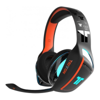 Preview: Triton Ark100