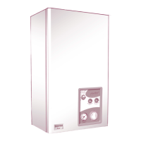 Preview: Halstead Ace