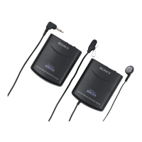 Preview: Sony WCS-999