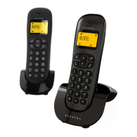 Preview: Alcatel C250