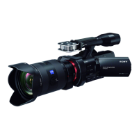 Preview: Sony NEX-VG900