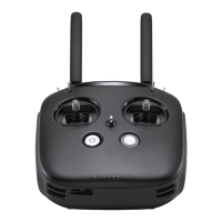 Preview: dji FPV REMOTE CONTROLLER